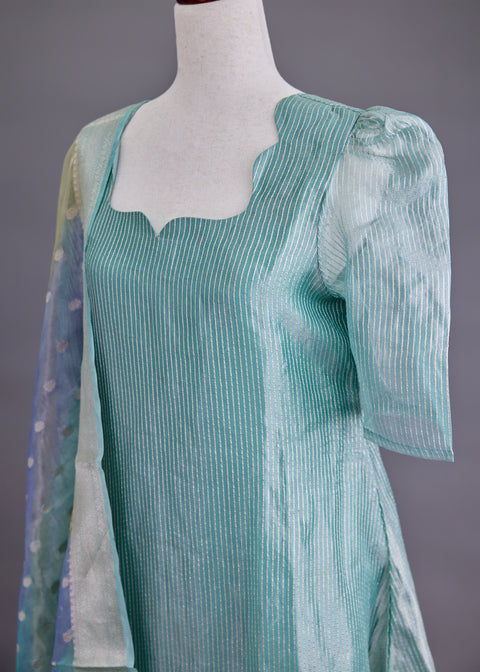 Sage Green Tissue Banarasi Suit set