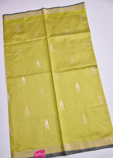 Chartreuse Chiniya Silk Saree with Zari Floral Motifs