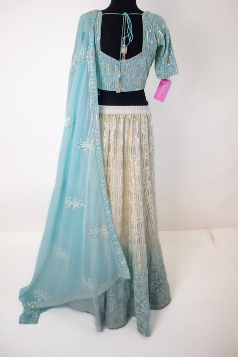 Light Blue and Cream embroidered Lehenga