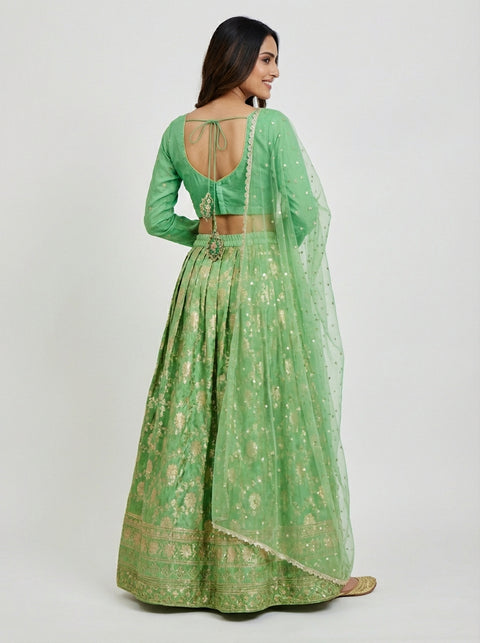 Pista Green Banaras Lehenga