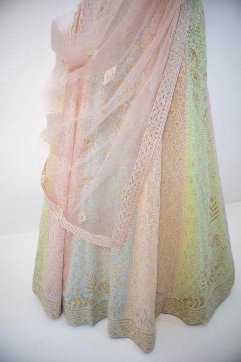 Light pink and green embroidered Lehenga