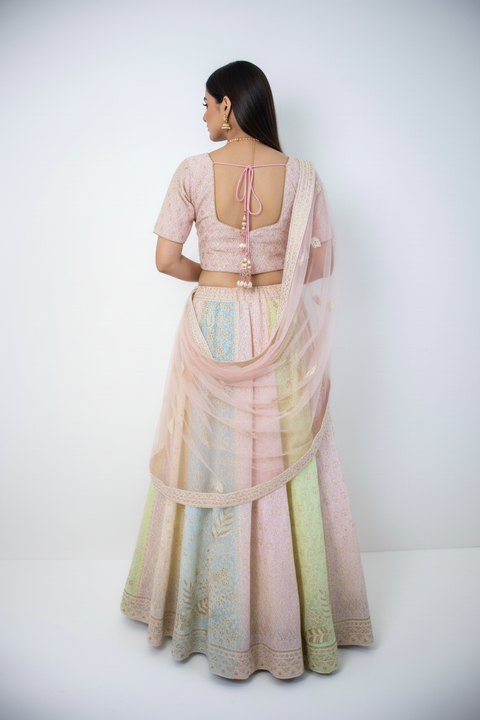Light pink and green embroidered Lehenga