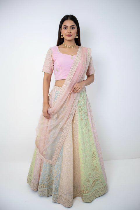 Light pink and green embroidered Lehenga