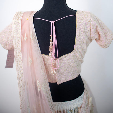 Light pink and green embroidered Lehenga