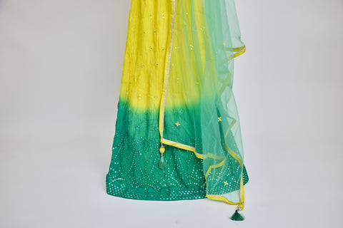 Yellow and Green Mirrored Lehenga