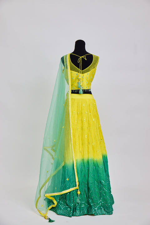 Yellow and Green Mirrored Lehenga