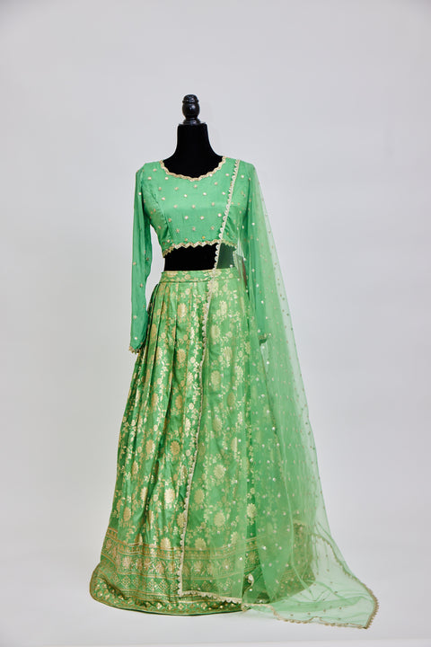 Pista Green Banaras Lehenga
