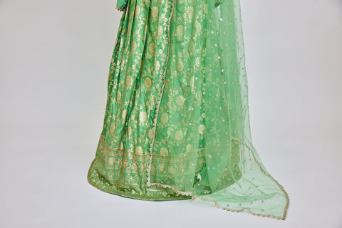 Pista Green Banaras Lehenga