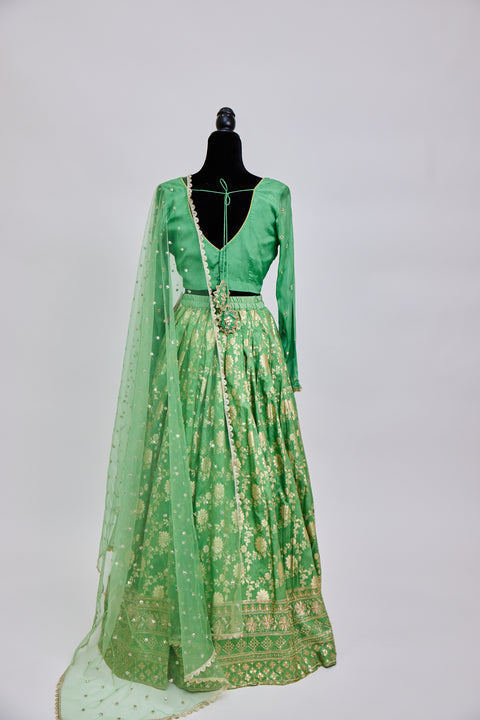 Pista Green Banaras Lehenga