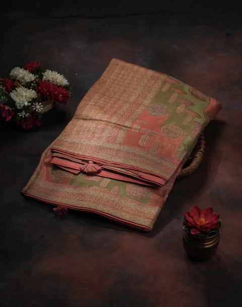 Peach and Green Organza Tissue Saree