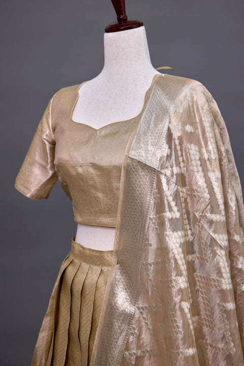 Beige and Gold Tissue Half Saree