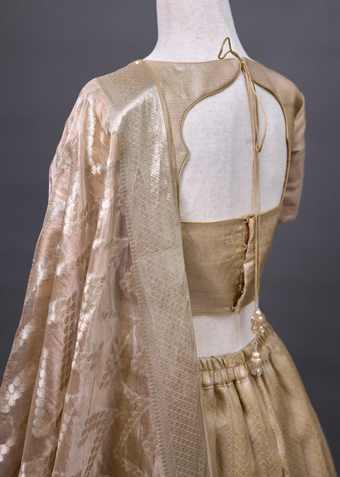 Beige and Gold Tissue Half Saree