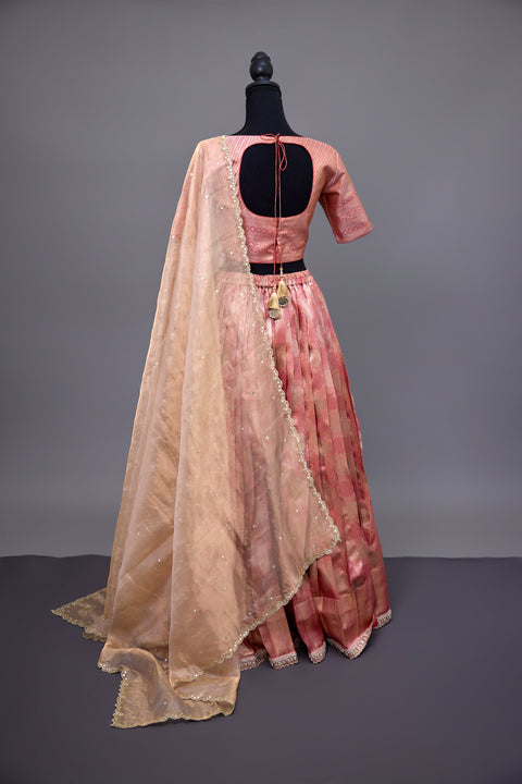 Gold & Red Tissue Half Saree