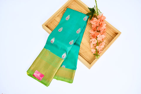 Sea Green & Green Border Kanchipattu Saree