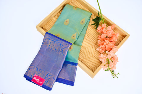 Sea Green & Blue Border Kanchipattu Saree
