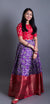 Crop Top and Patola Lehenga With Traditional Borders
